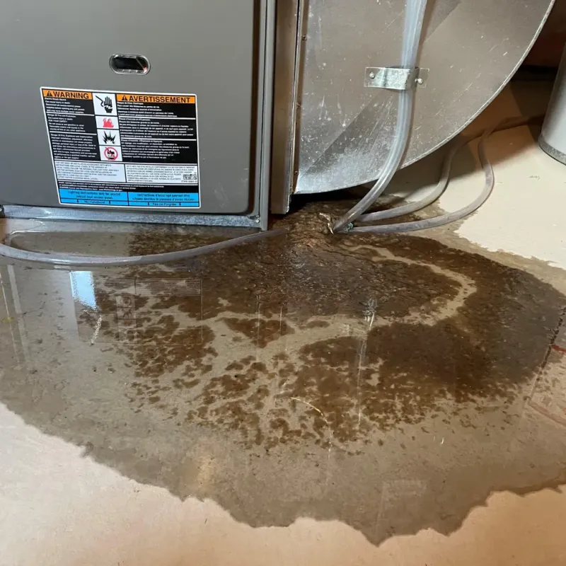 Appliance Leak Cleanup in Smithville-Sanders, IN